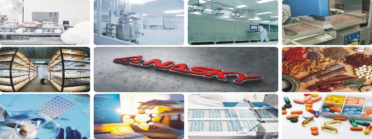 Tasly production factory