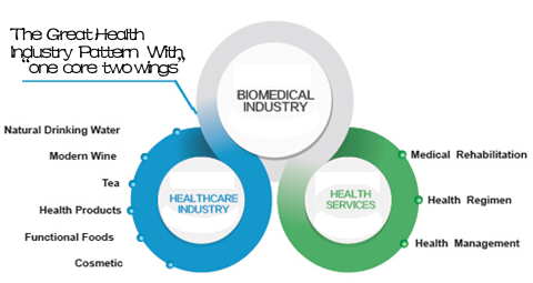 our services our services